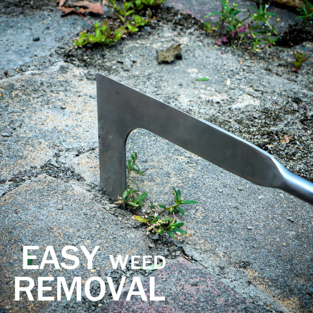 Crevice Weeding Tool